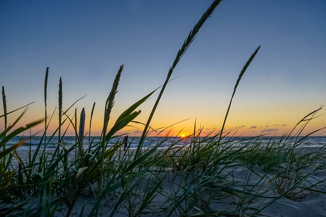 Zingst