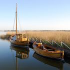 Zingst