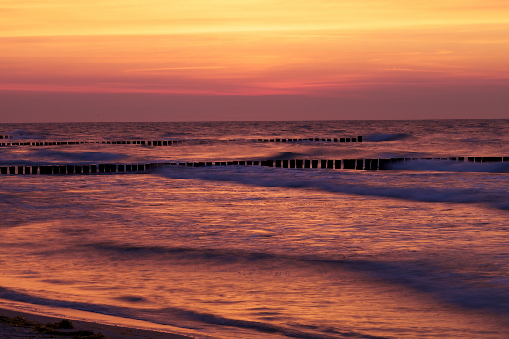 Zingst 5