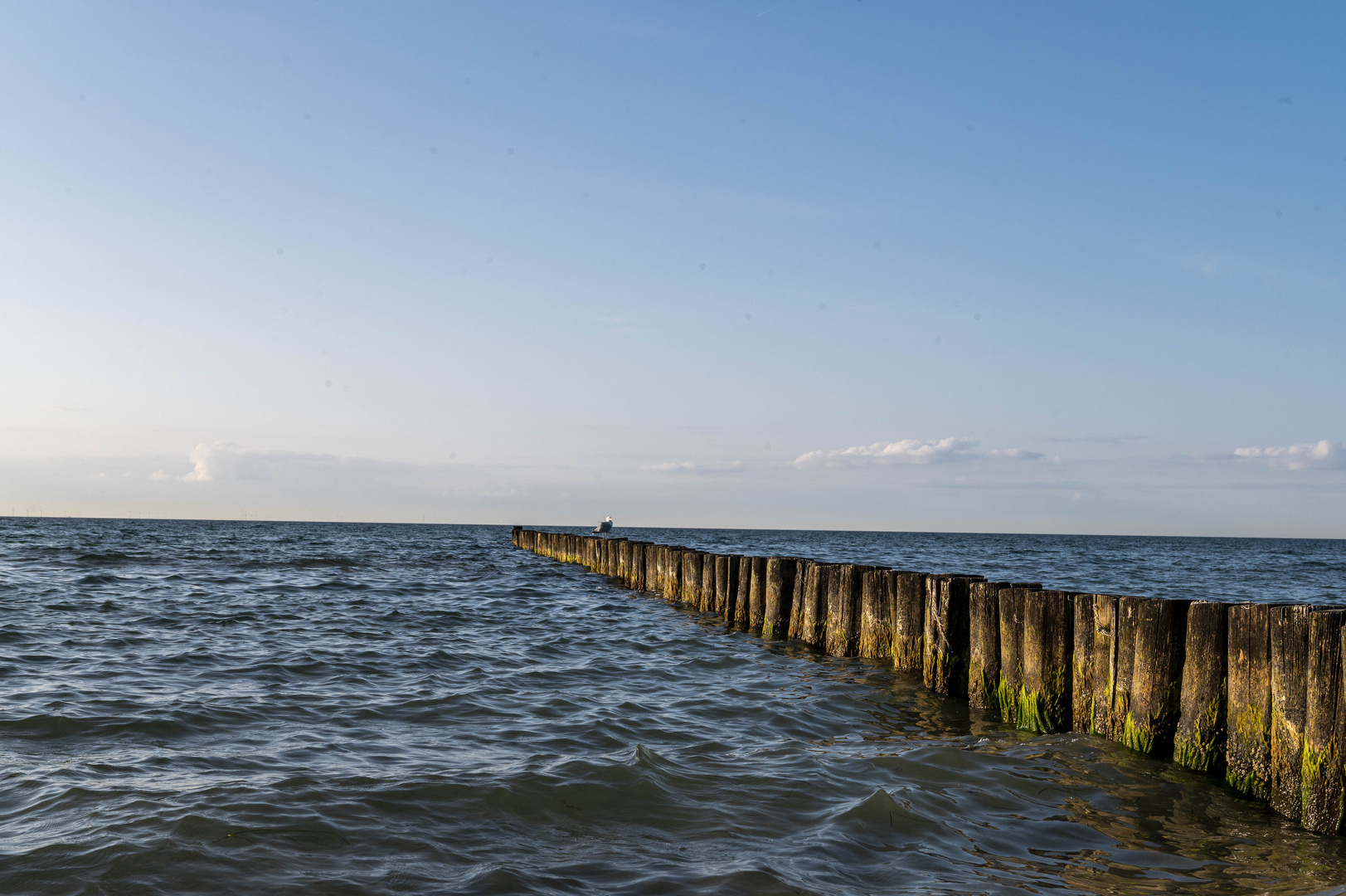 Zingst