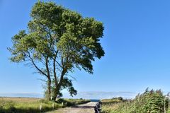 Zingst - Alleine, und doch schön und groß geworden