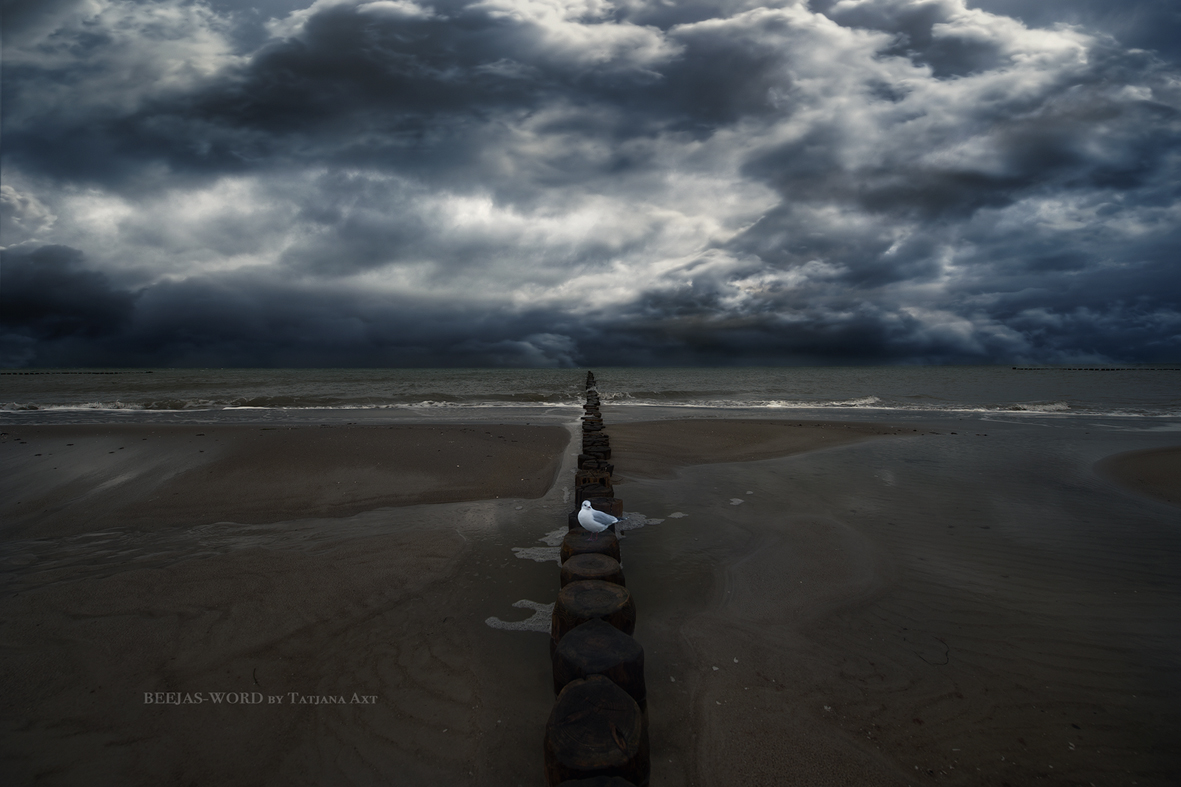 Zingst am Strand