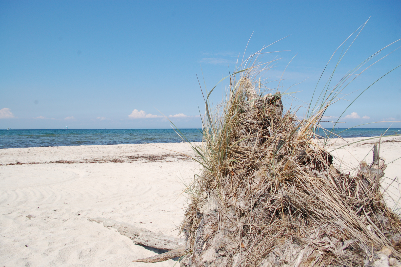 Zingst an der Ostsee