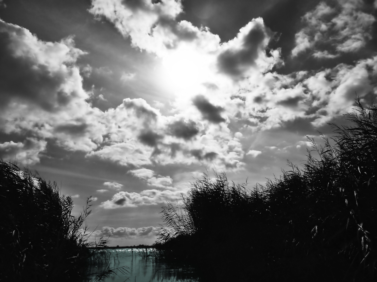 Zingst, Ausflug am Bodden..