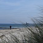 Zingst