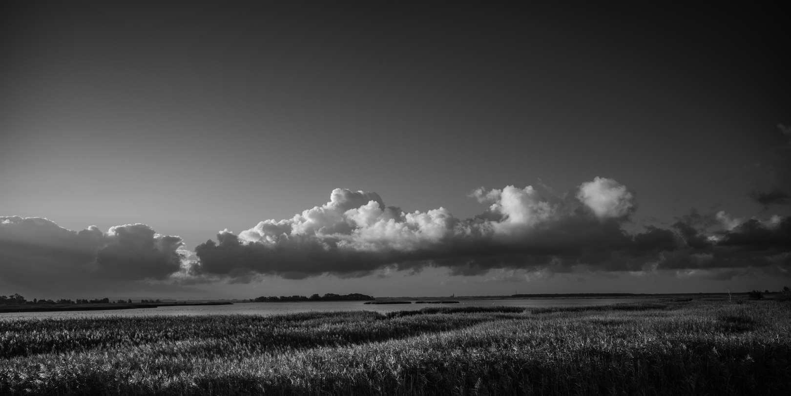 Zingst-Bodden