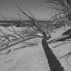 Zingst, Boot am Strand