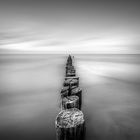 * Zingst Buhne B&W *