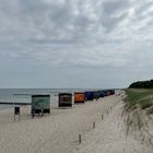 Zingst