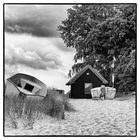 Zingst