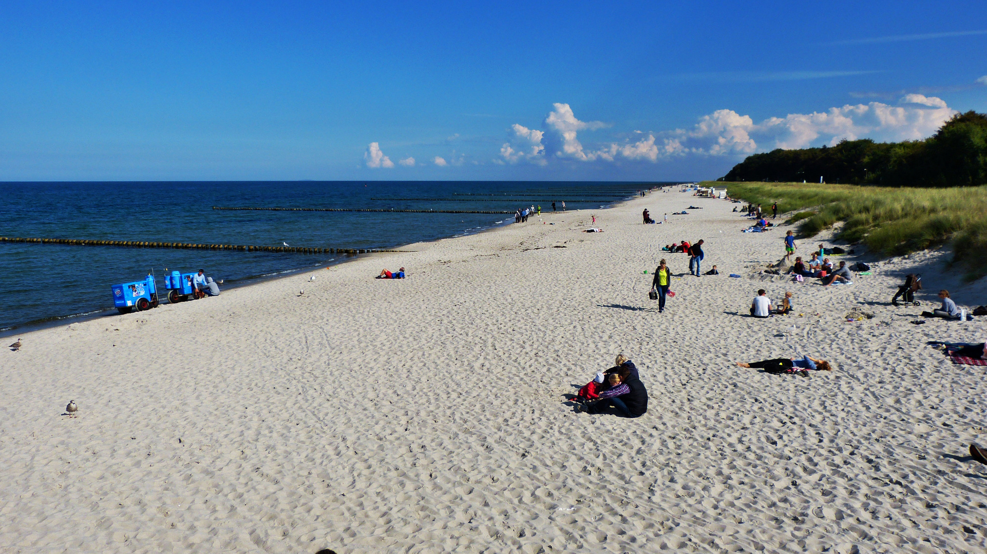 Zingst Darß 6