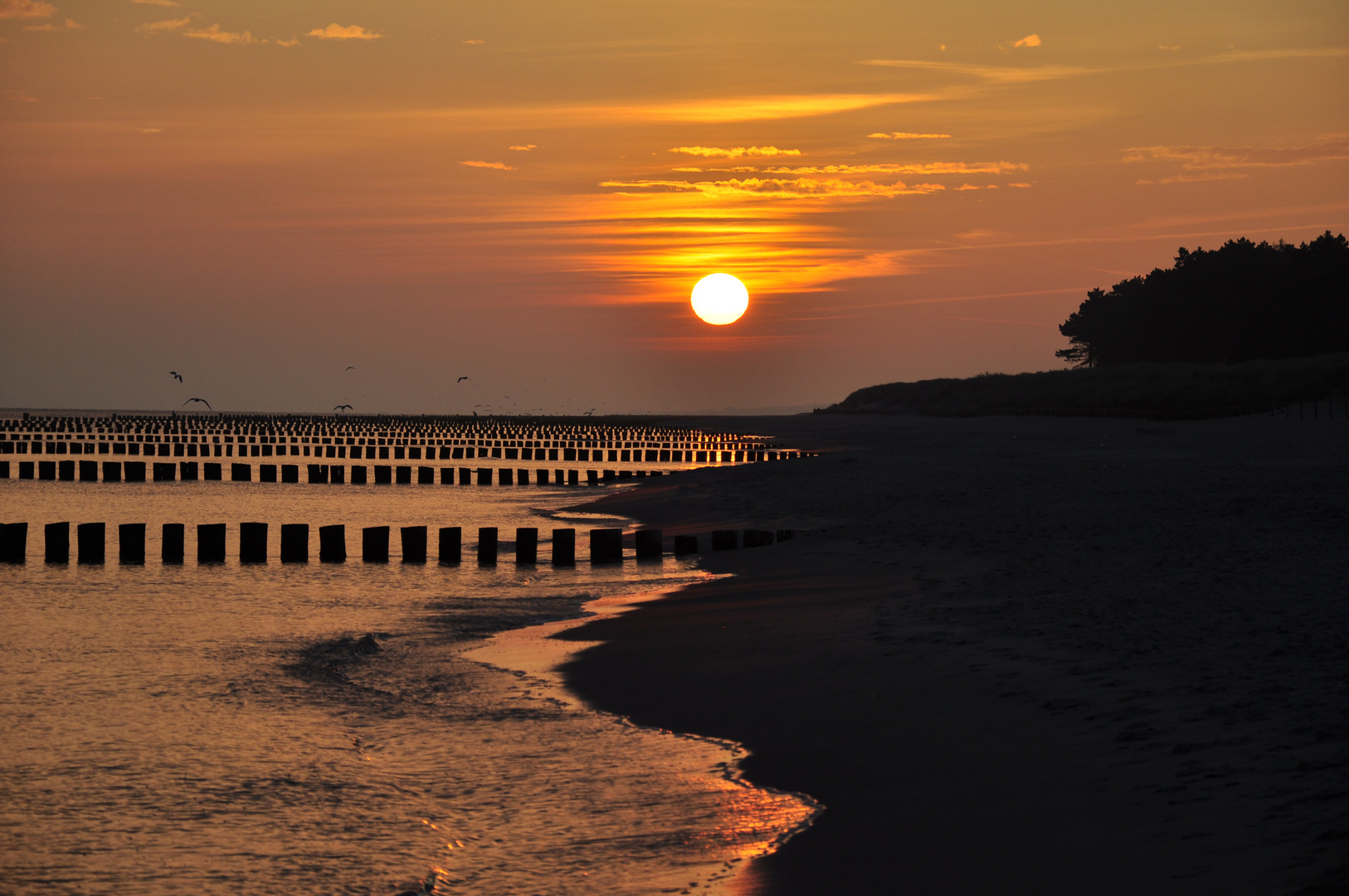 Zingst-Darß