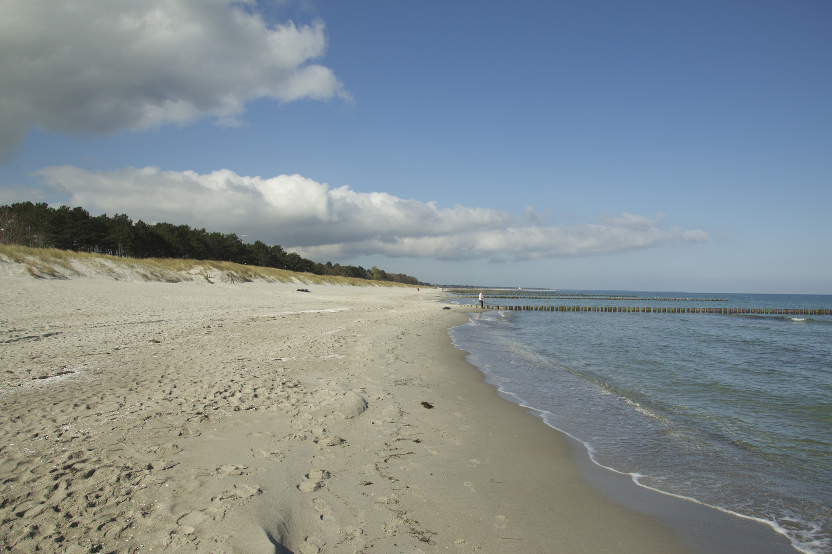 Zingst Düne 6