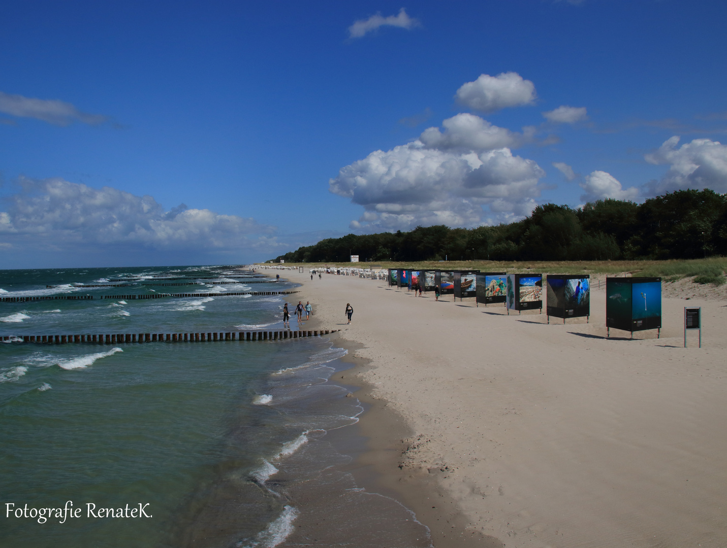 Zingst: Große Fototafeln mit Hinweis auf Umweltverschmutzung