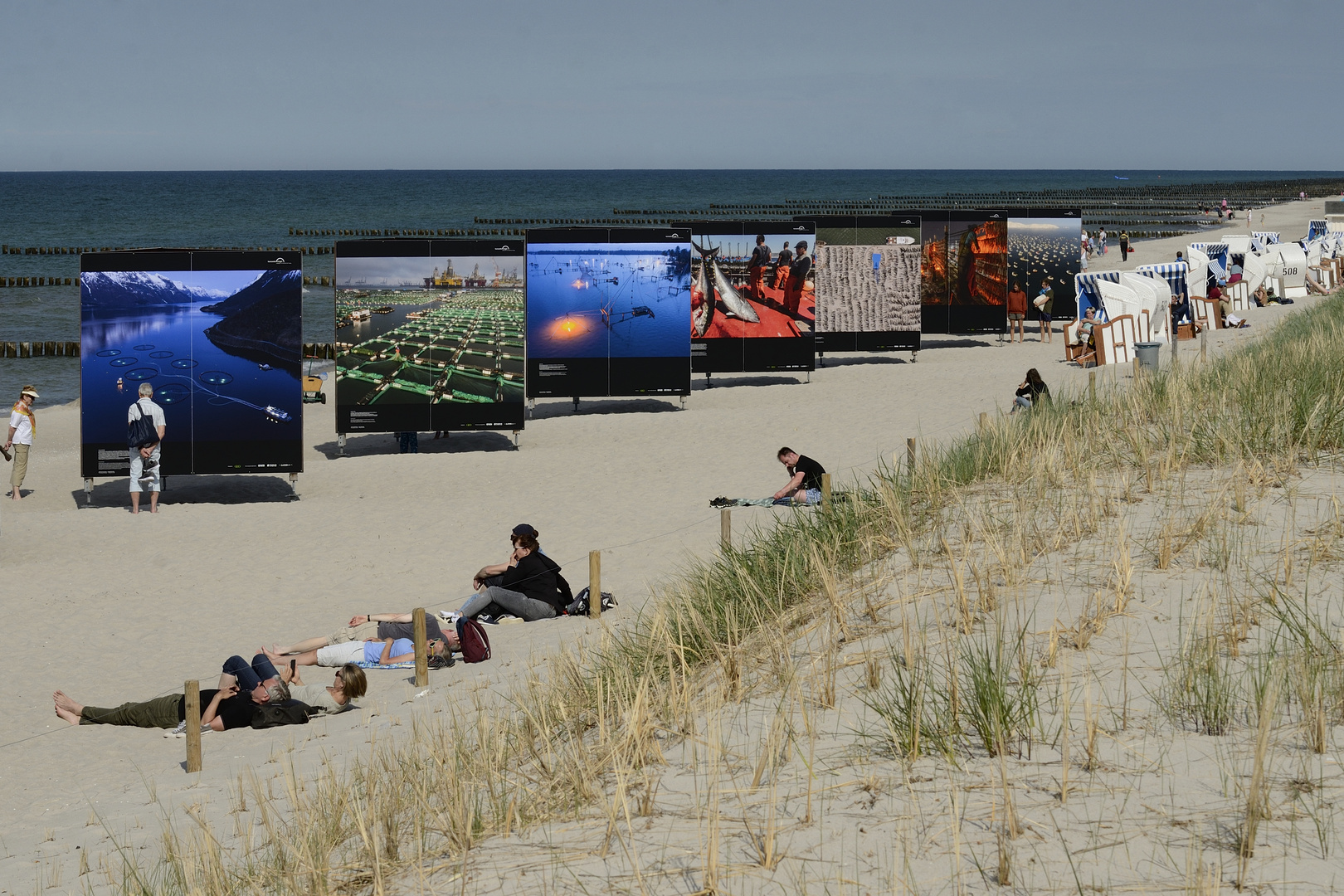 Zingst - HORIZONTE