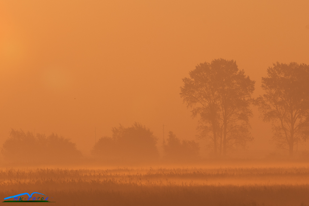 Zingst im Herbst