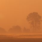 Zingst im Herbst