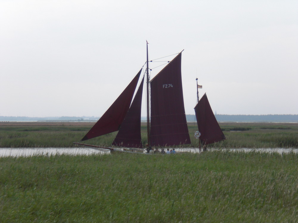 Zingst im Juni 2009