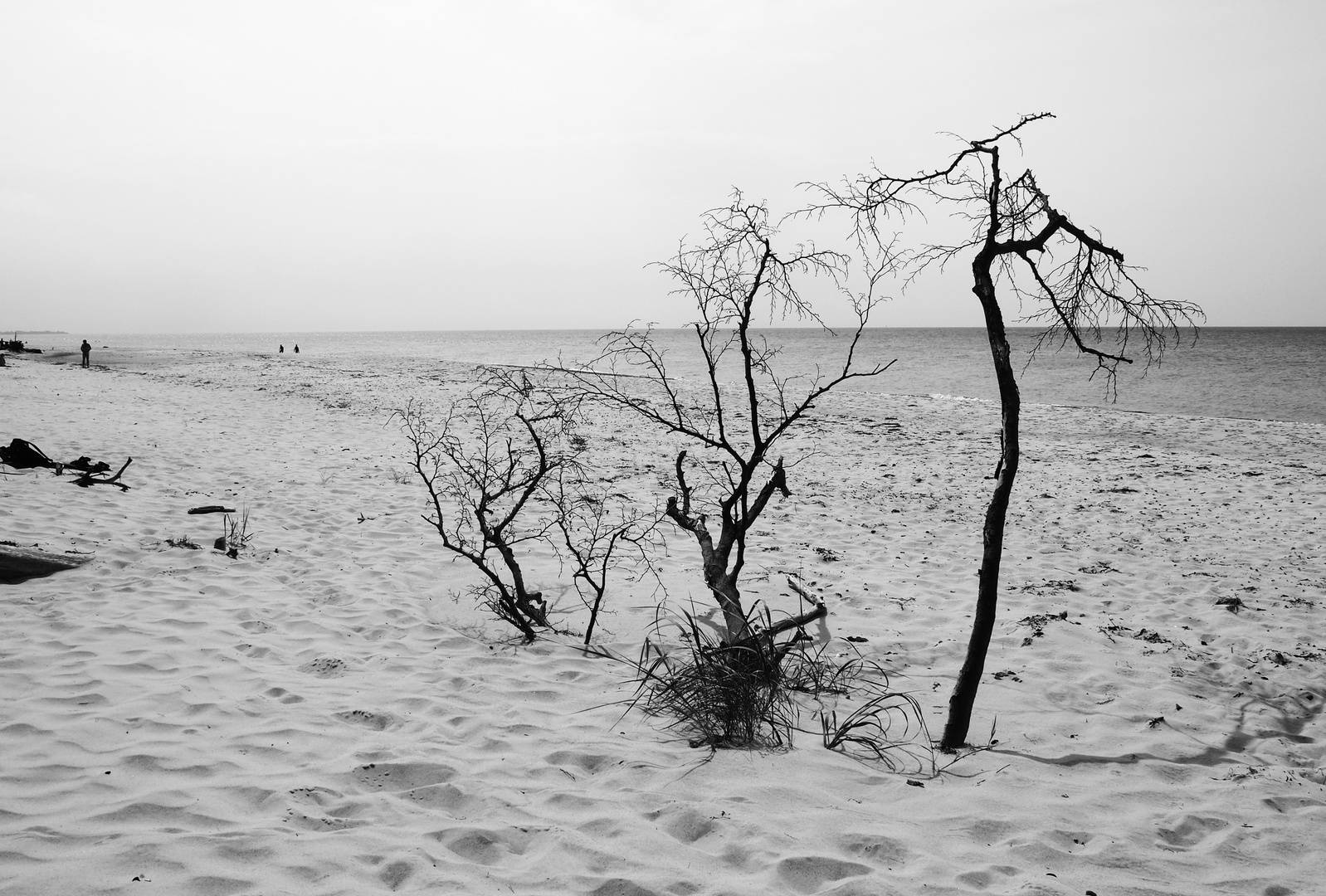 Zingst - Impressionen 2