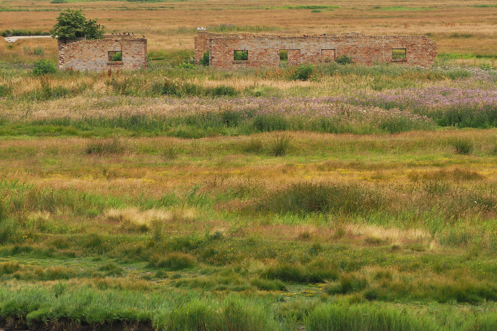 Zingst - Impressionen 2