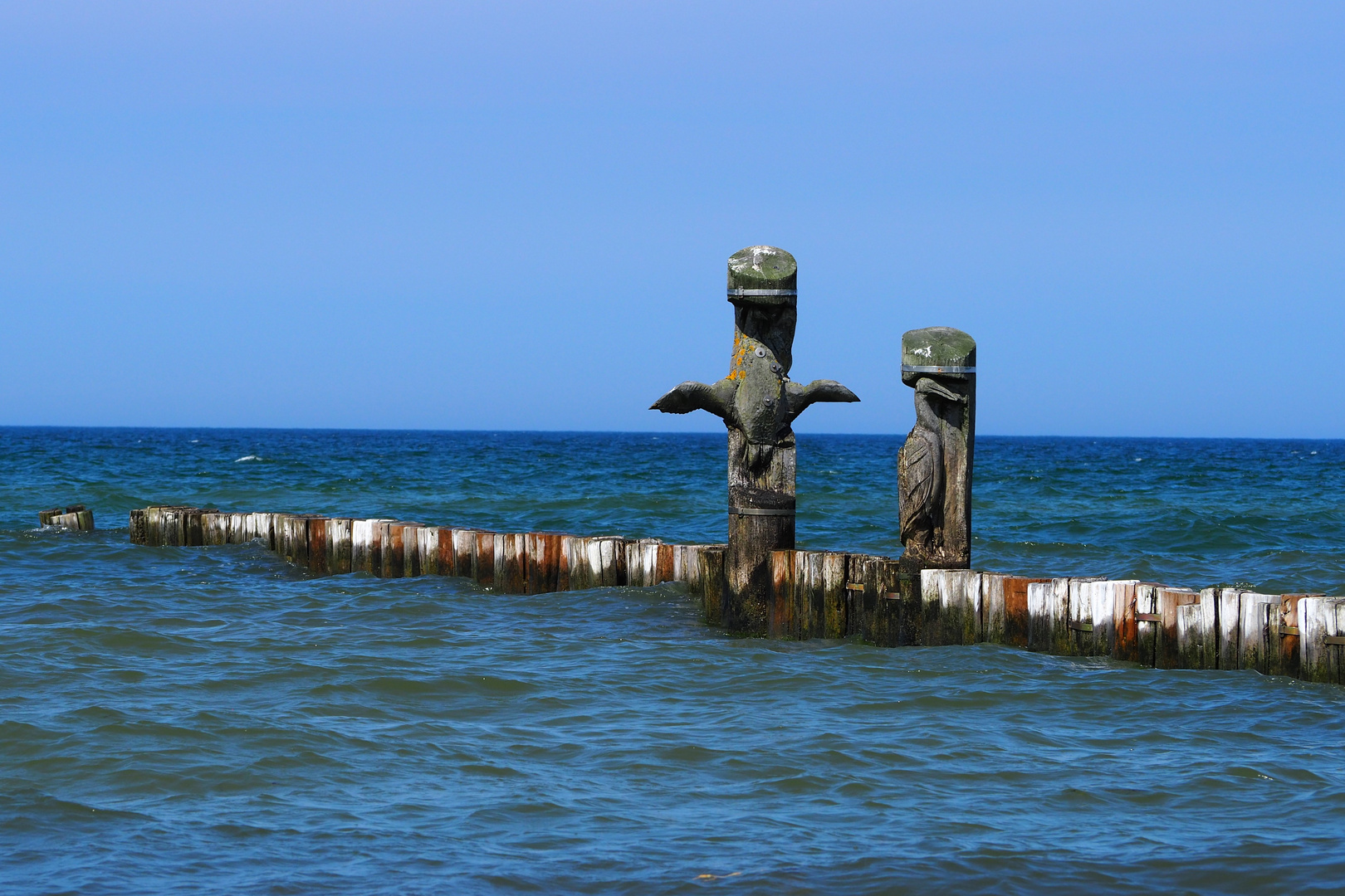 Zingst Impressionen 7