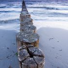 Zingst kurz vor Sonnenaufgang