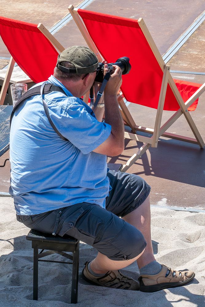 Zingst lockt in die Welt der Naturfotografie