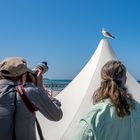 Zingst lockt in die Welt der Naturfotografie