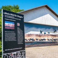 Zingst lockt in die Welt der Naturfotografie