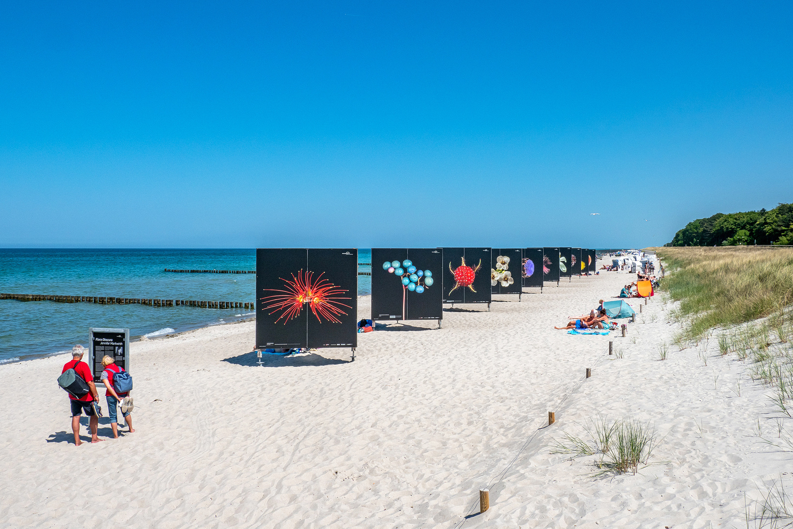 Zingst lockt in die Welt der Naturfotografie