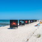 Zingst lockt in die Welt der Naturfotografie