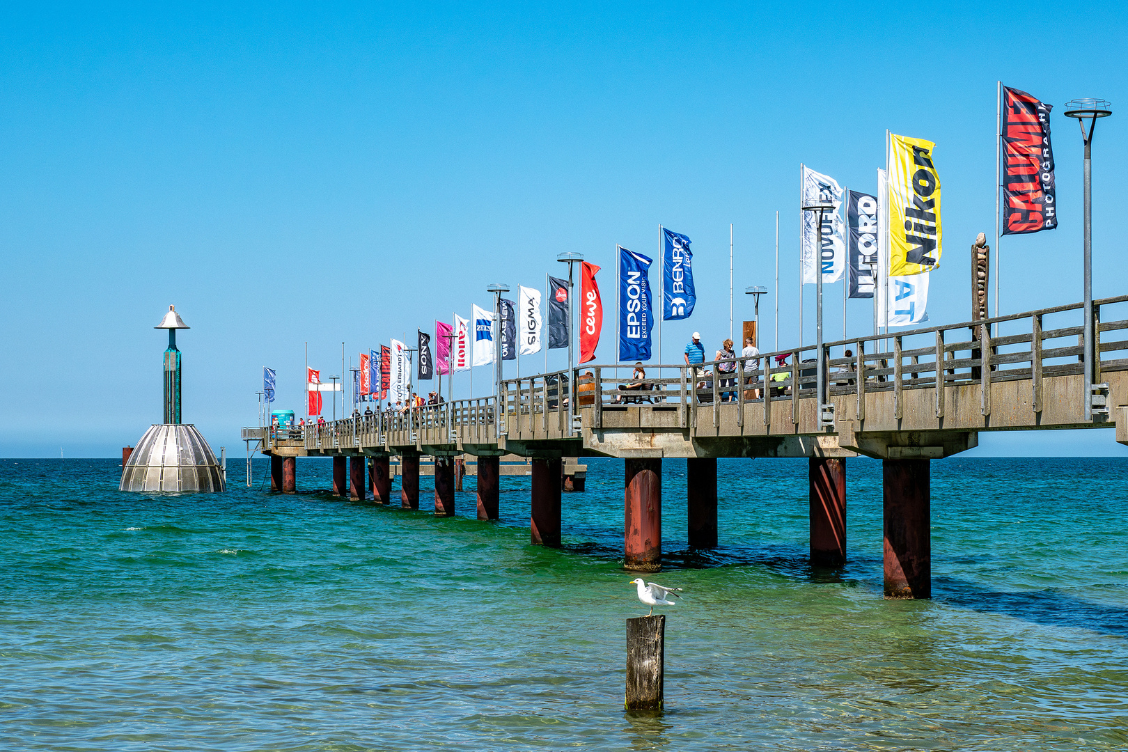 Zingst lockt in die Welt der Naturfotografie