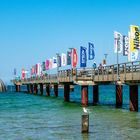 Zingst lockt in die Welt der Naturfotografie