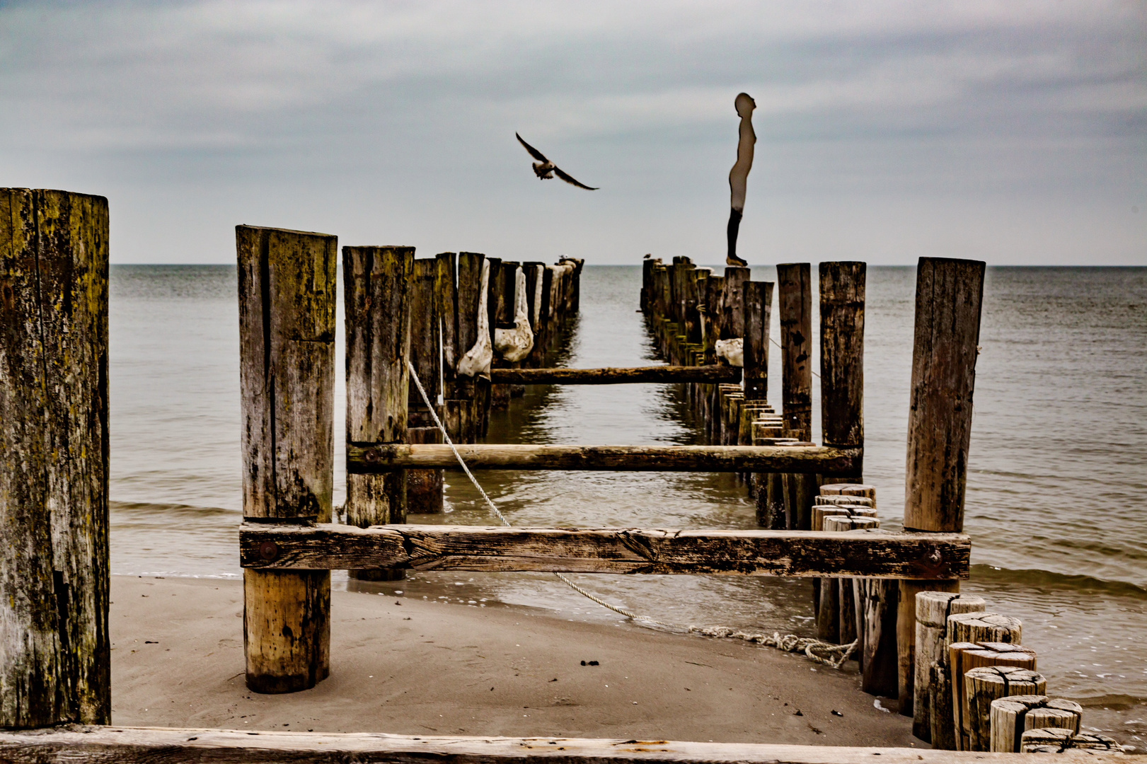 Zingst März 2018 003