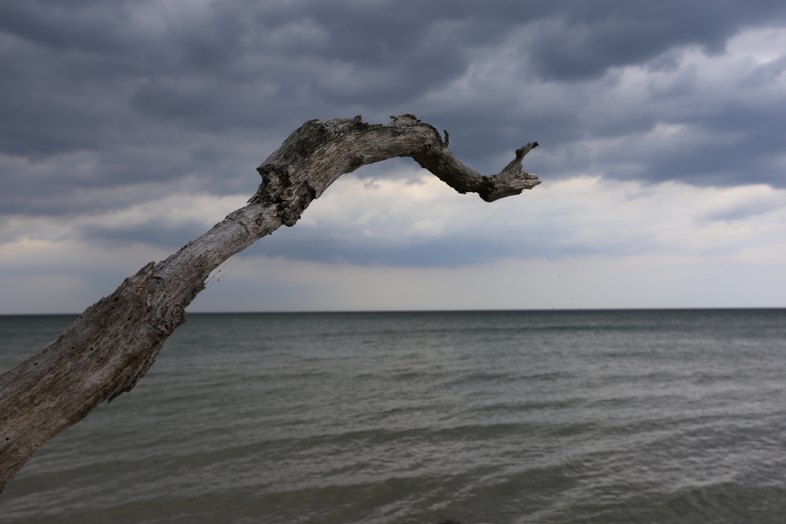 Zingst / Ostsee