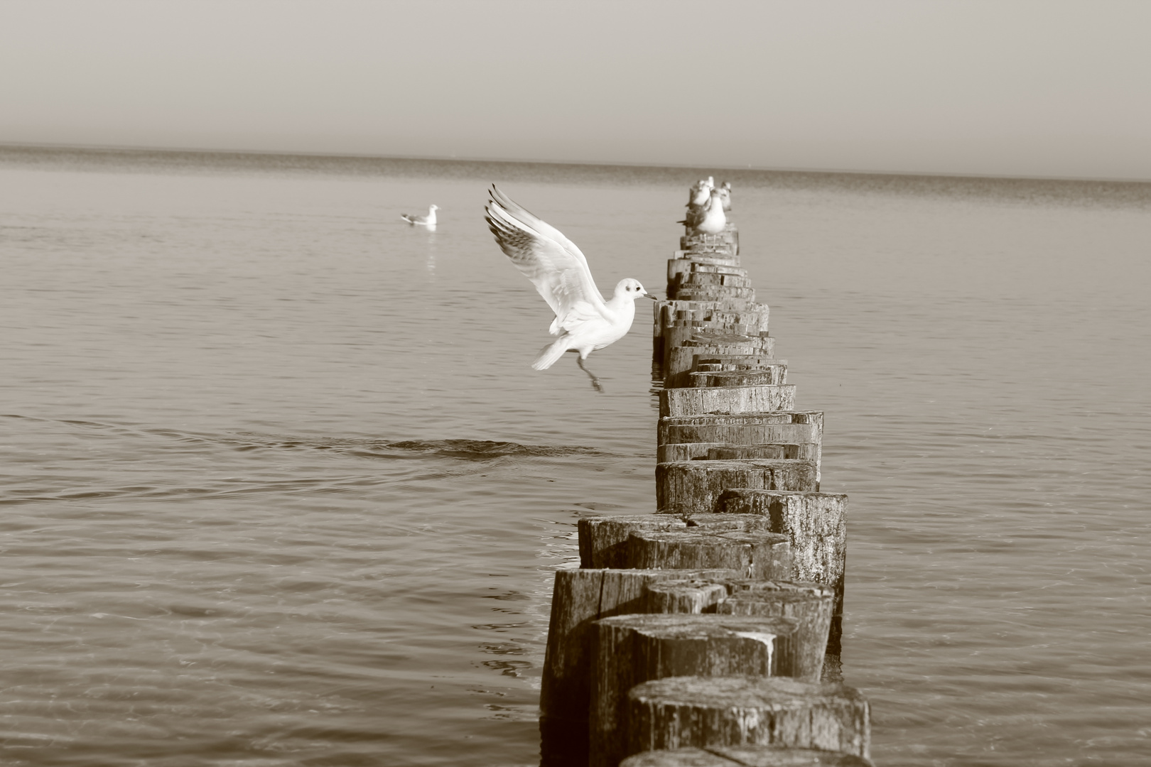 Zingst Seebrücke