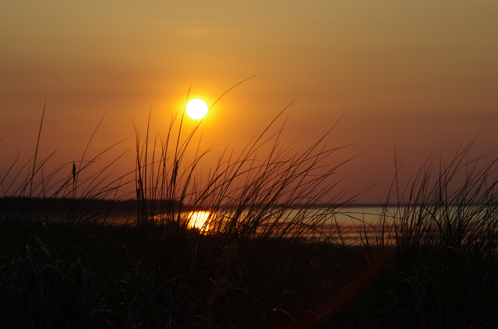 Zingst Sonnenuntergang