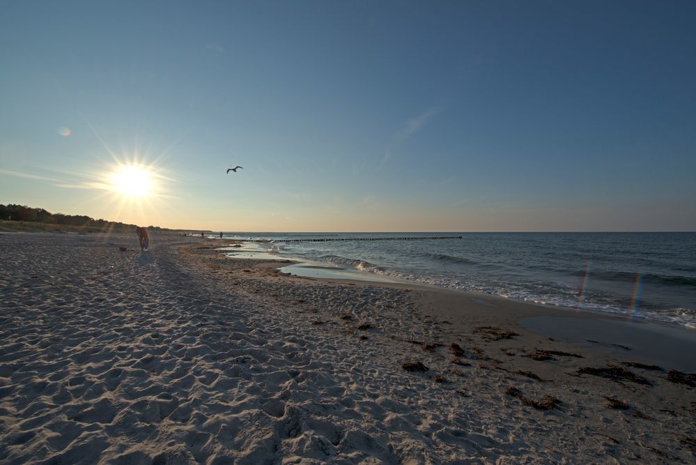 Zingst-Strand