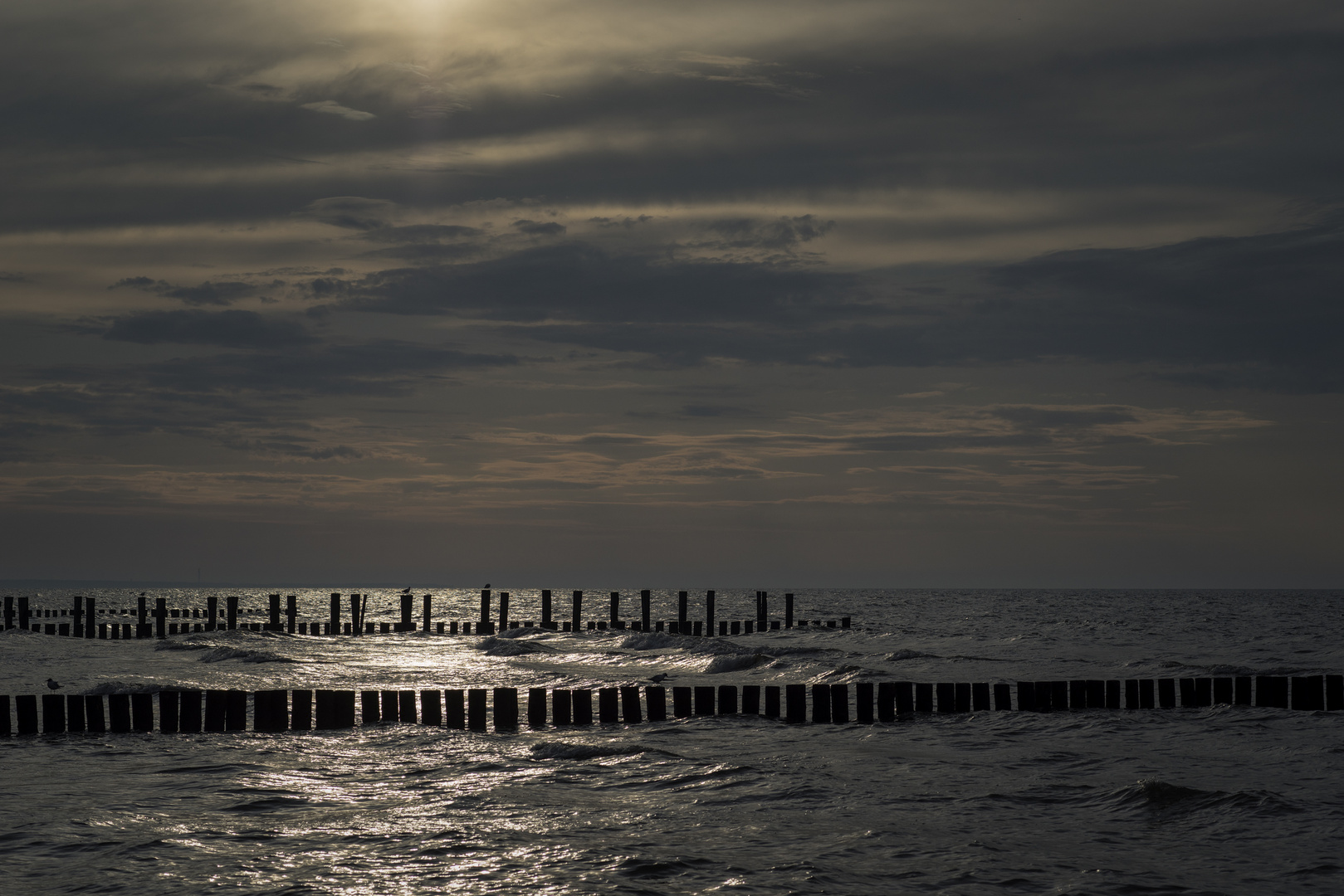 Zingst Sunshine