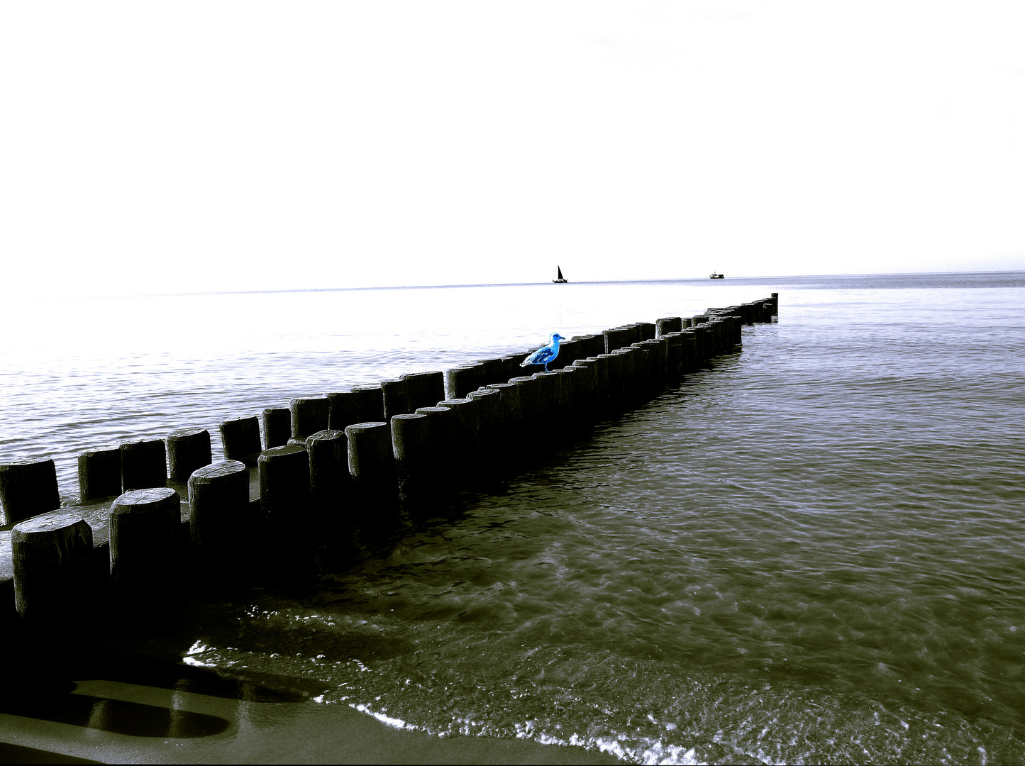 Zingst, Weg ins Meer No. 02