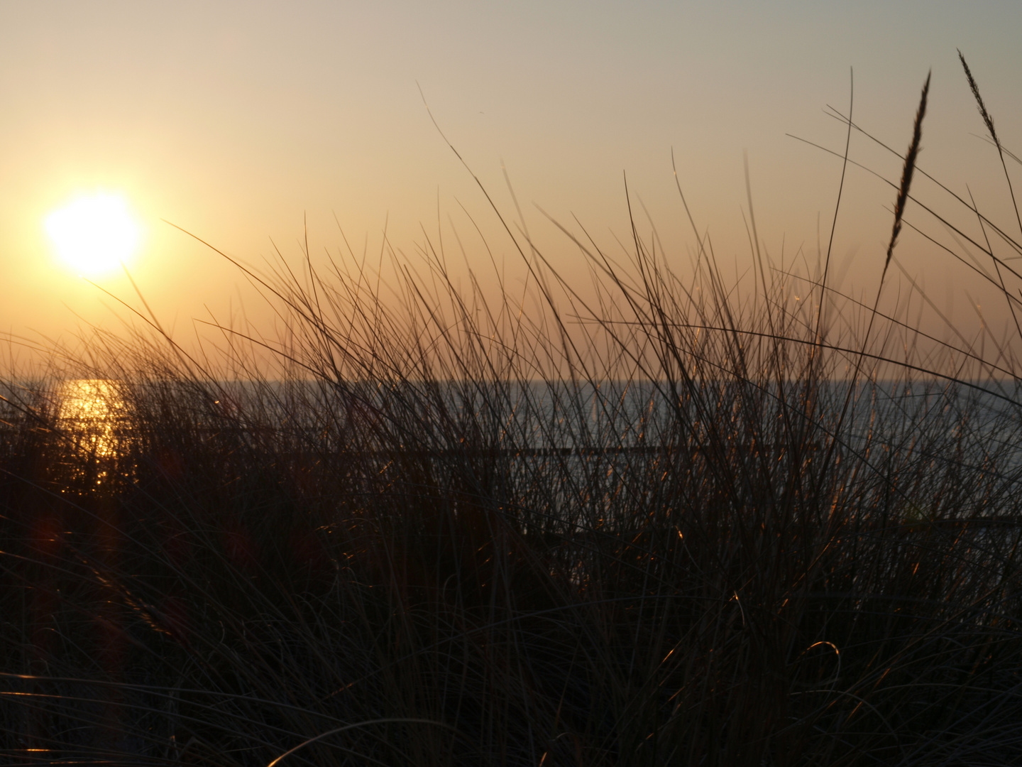 Zingster Abendsonne