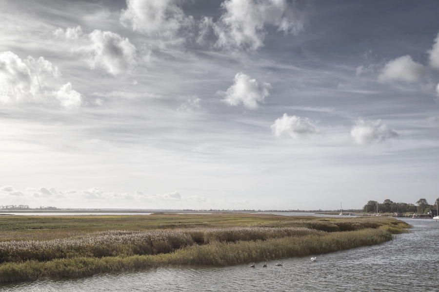 Zingster Bodden IMG_0466