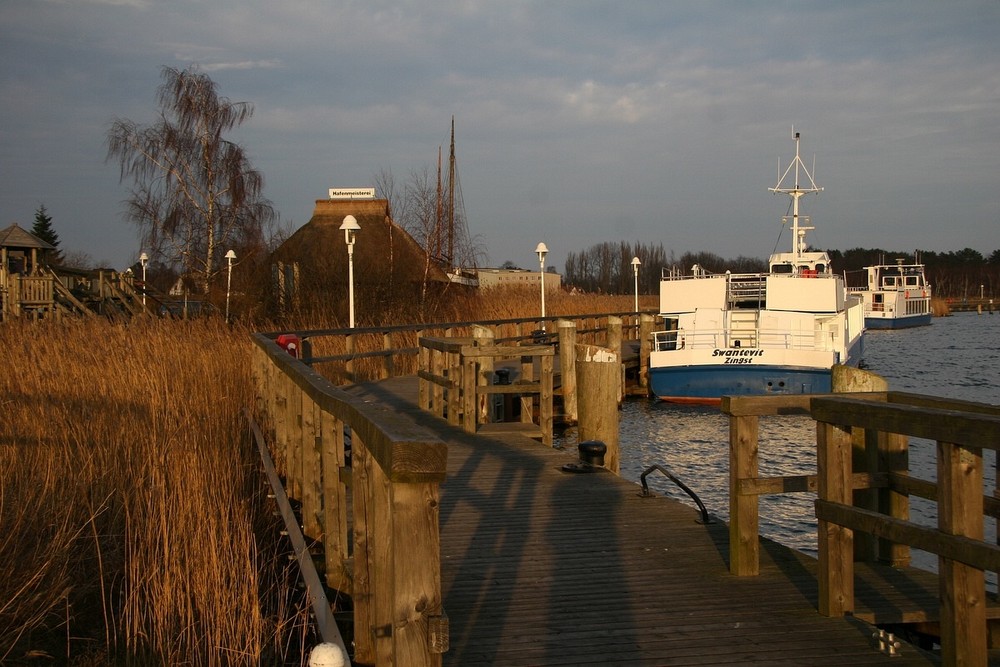 Zingster Hafen