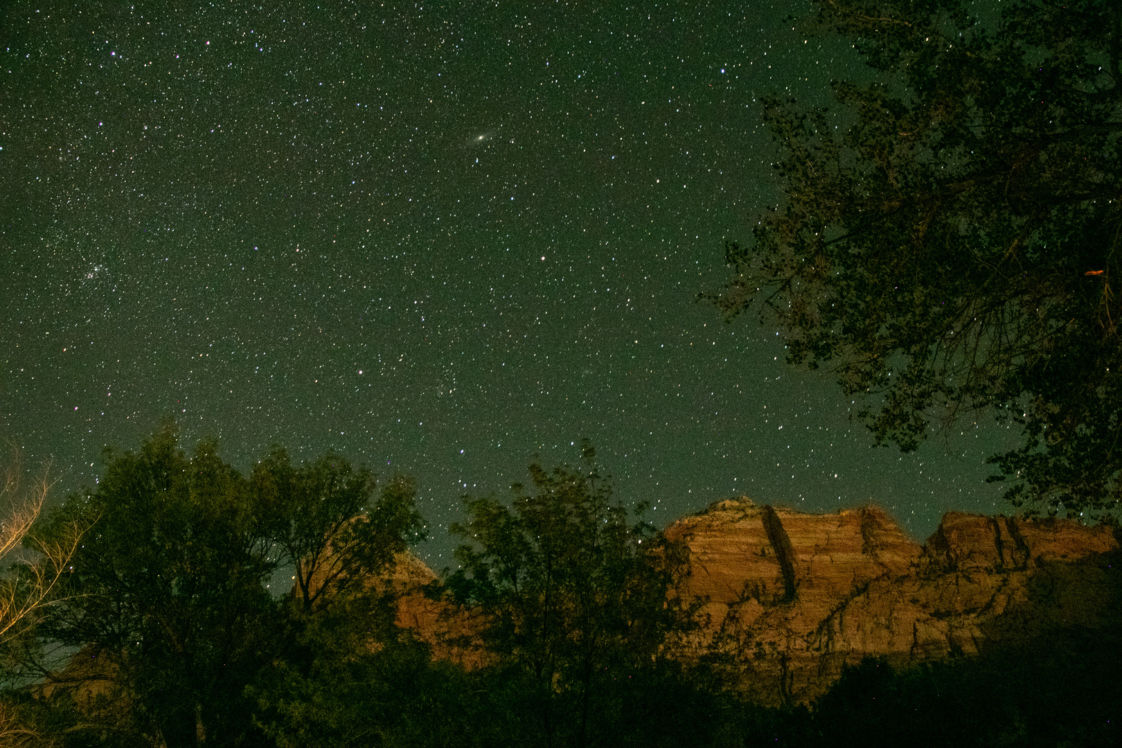 Zion at night