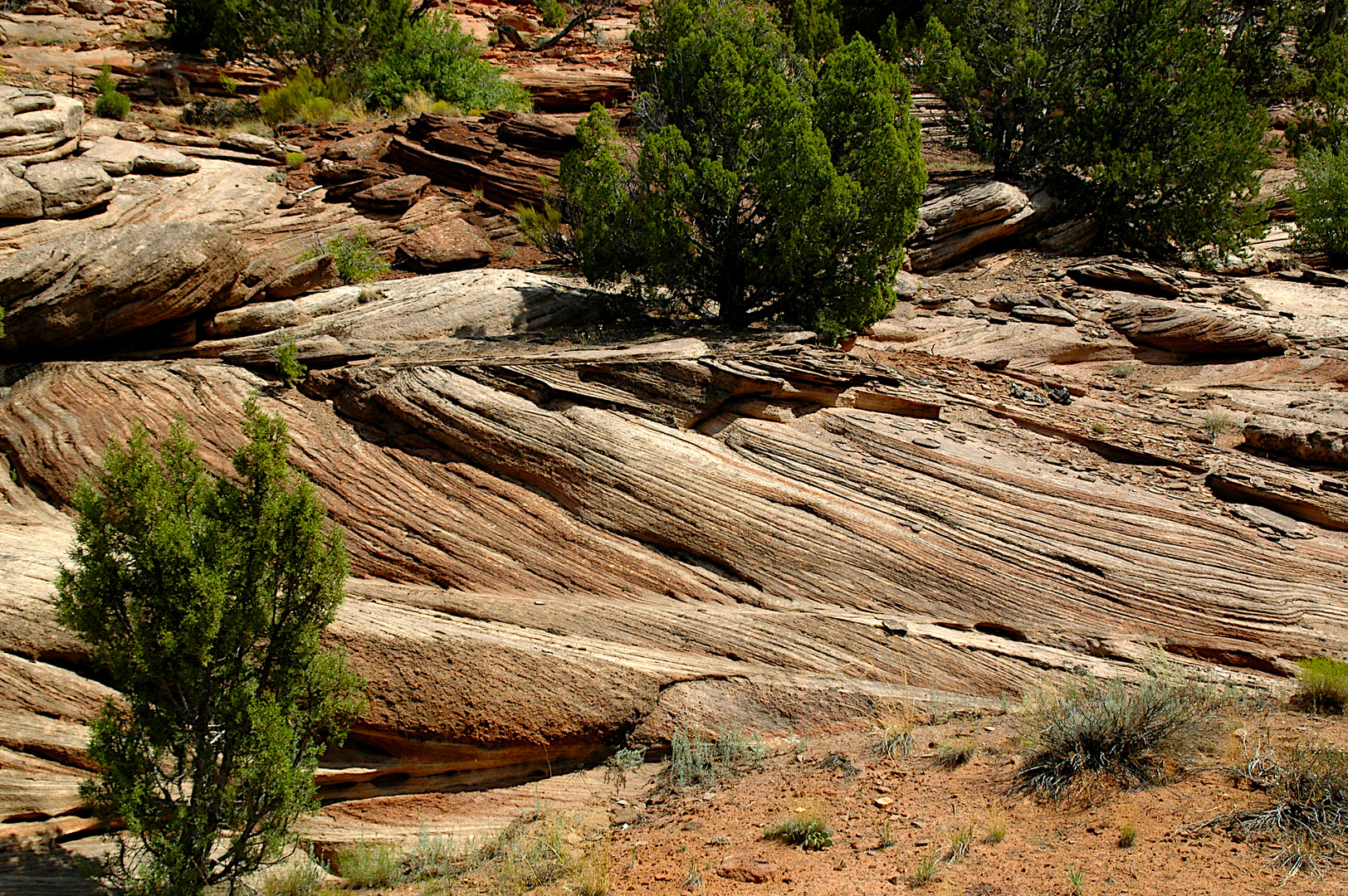 Zion Canyon