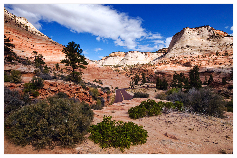 Zion Canyon