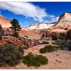 Zion Canyon