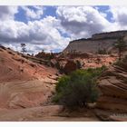 Zion Canyon