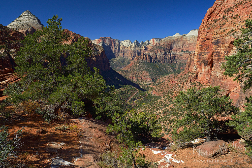 Zion Canyon Overlook