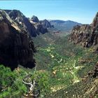 Zion Canyon von Angels Landing aus gesehen